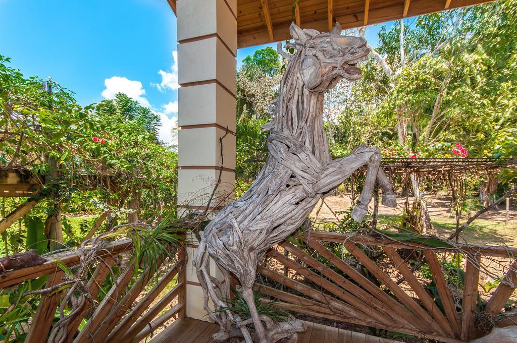 Dream Valley Belize Teakettle Village Εξωτερικό φωτογραφία