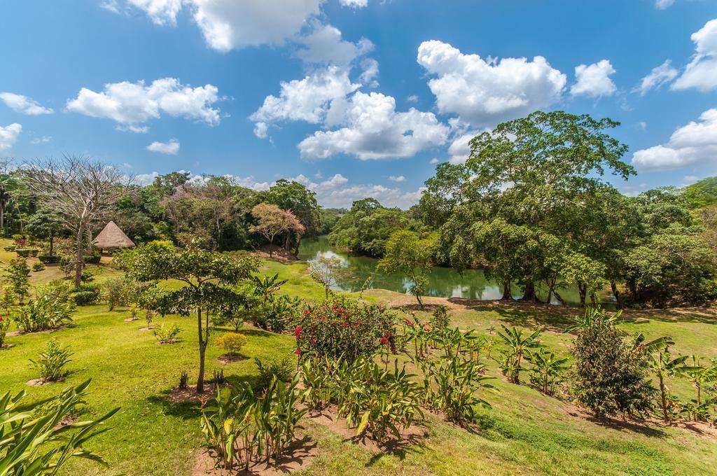 Dream Valley Belize Teakettle Village Εξωτερικό φωτογραφία