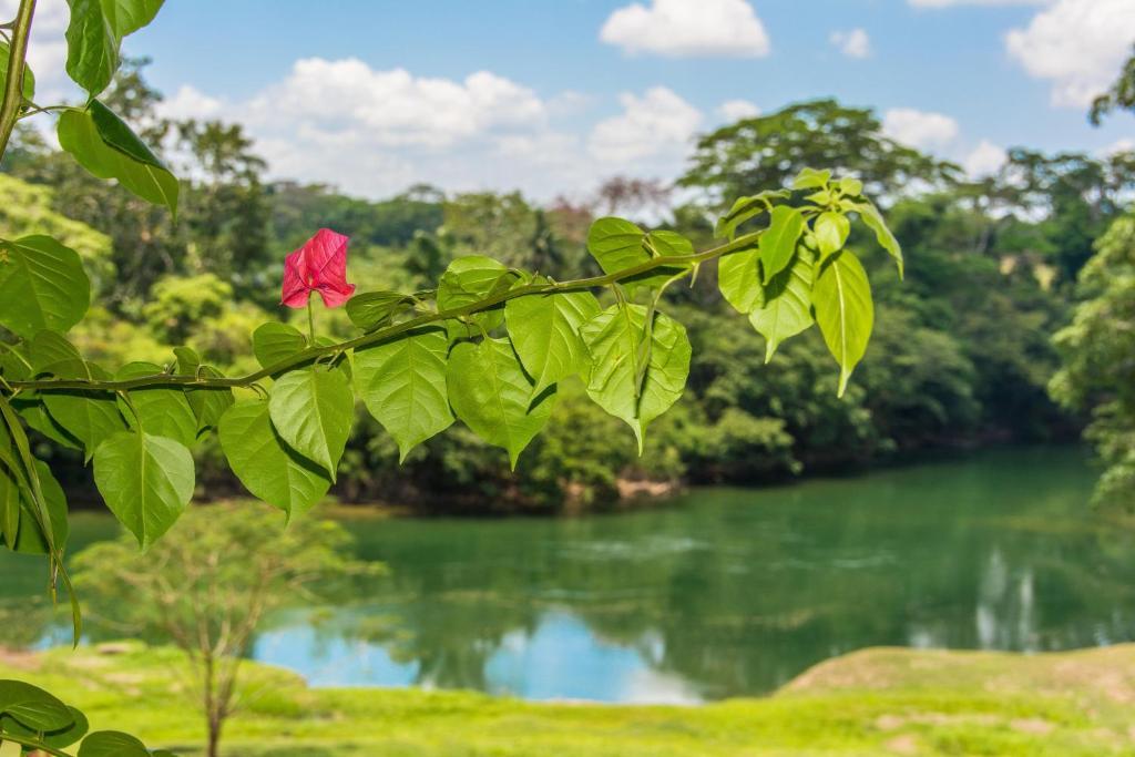 Dream Valley Belize Teakettle Village Εξωτερικό φωτογραφία